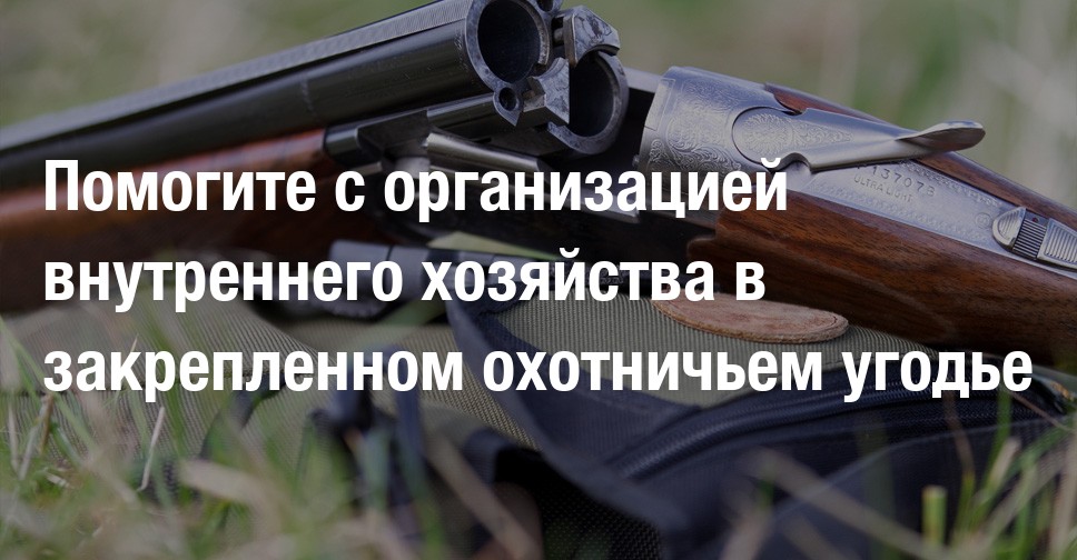 Помогите с организацией внутреннего хозяйства в закрепленном охотничьем ...