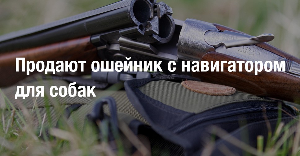 Продают ошейник с навигатором для собак | Форум охотников