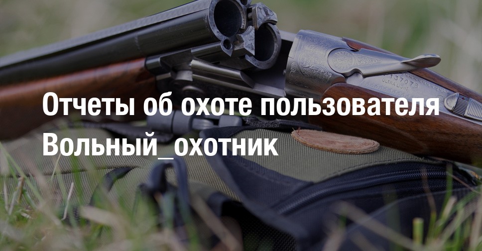 Рено охотник вольный