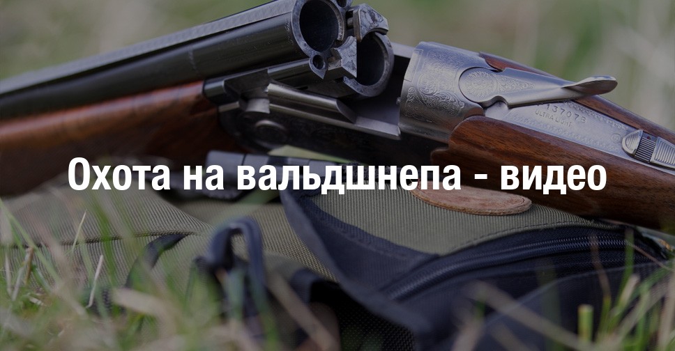 видео весенняя охота на вальдшнепа