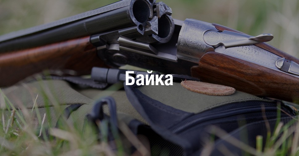 Бак иж фабула