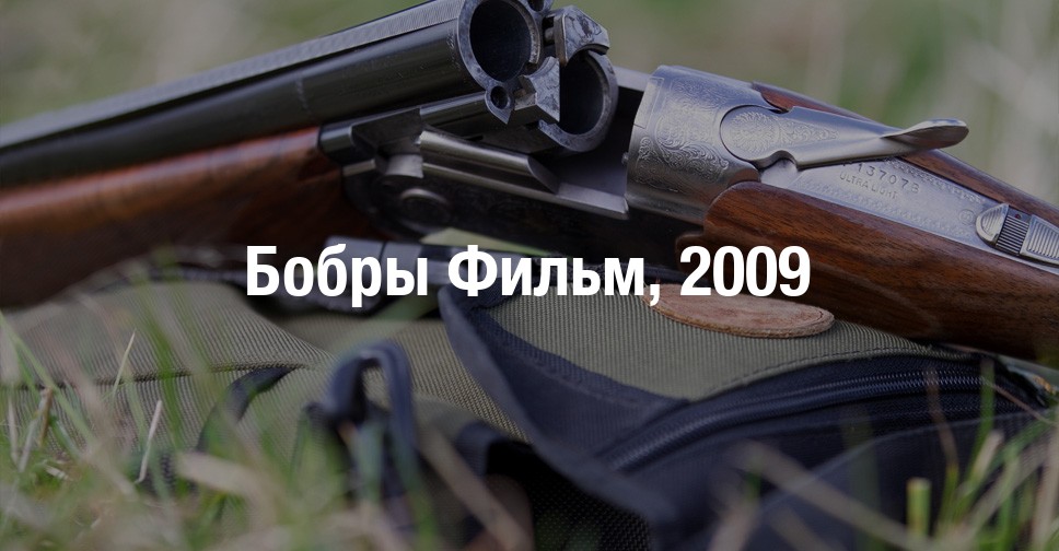 Бобры съели машину
