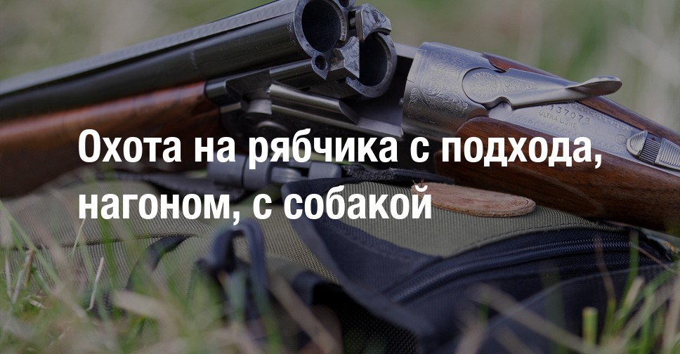 Секреты удачной охоты на рябчика