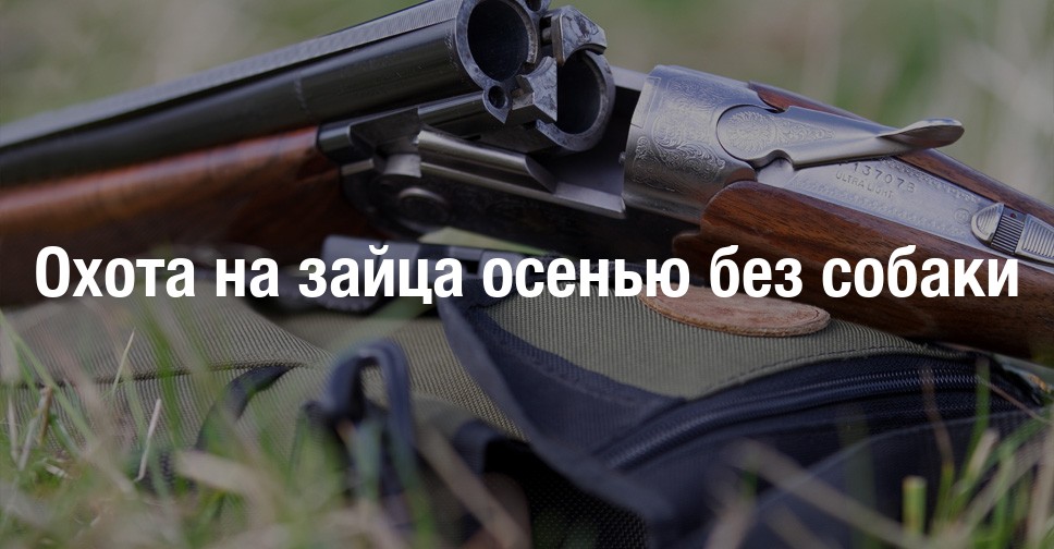 Зимняя охота на зайца с подхода