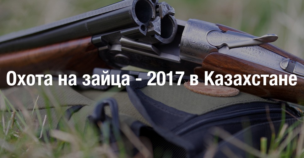 охота на зайцев в казахстане