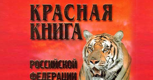 Как выглядит обложка красной книги Серый гусь и гуменник вошли в спорные виды Красной книги / Сибирский охотник