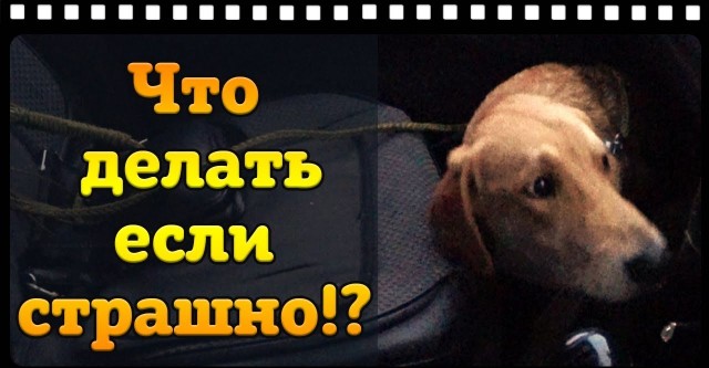 Сон садиться в машину