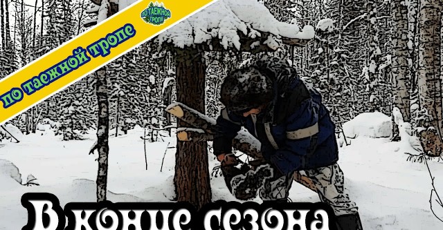 охота в тайге на соболя