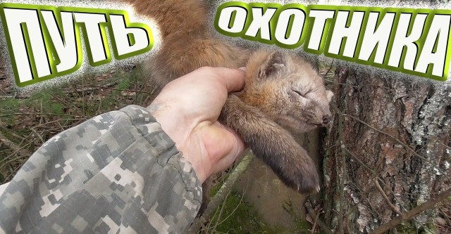Таежный шум