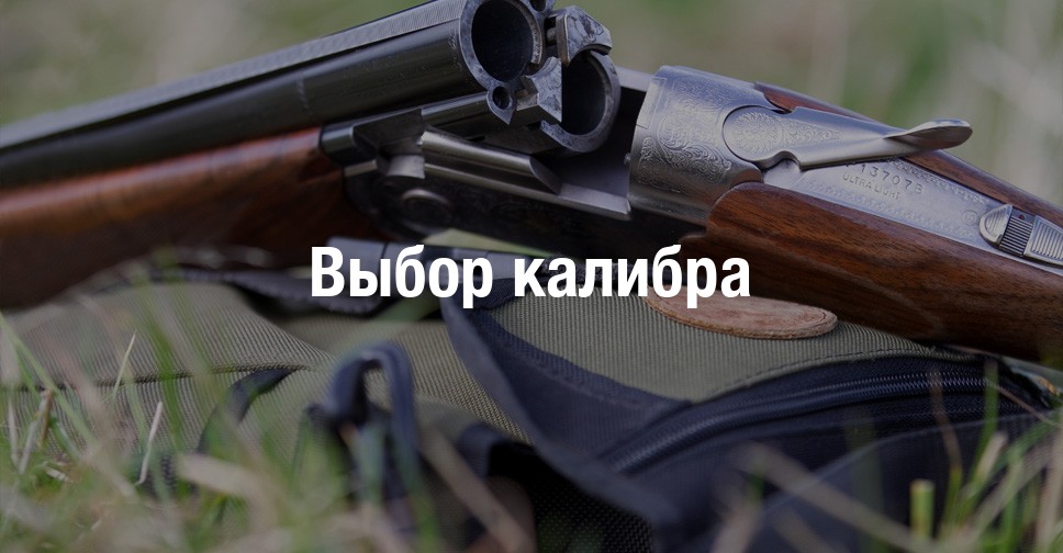 Выбор патрона для охоты на кабана