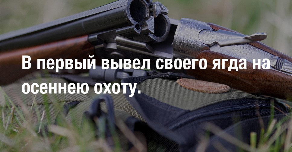 В первый вывел своего ягда на осеннею охоту. / Охотничьи фото: Собаки ...