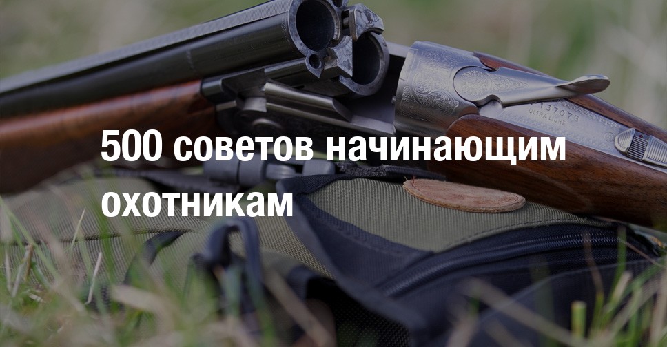 Что нужно для подводной охоты начинающим?